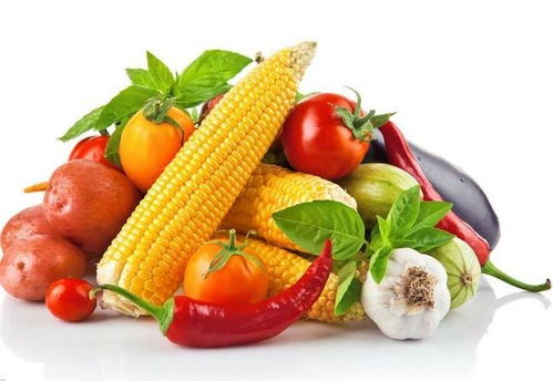 夏季飲食需謹(jǐn)慎 慢性支氣管炎患者應(yīng)避開(kāi)水產(chǎn)品